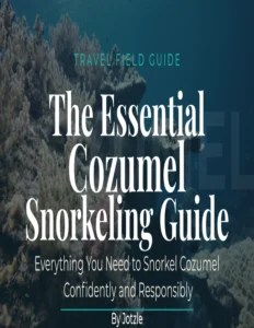 cozumel snorkeling guide