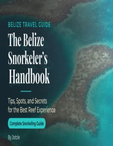 belize snorkeling guide