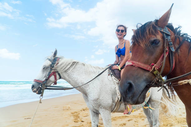 The Ultimate Guide to Horseback Riding in Puerto Rico