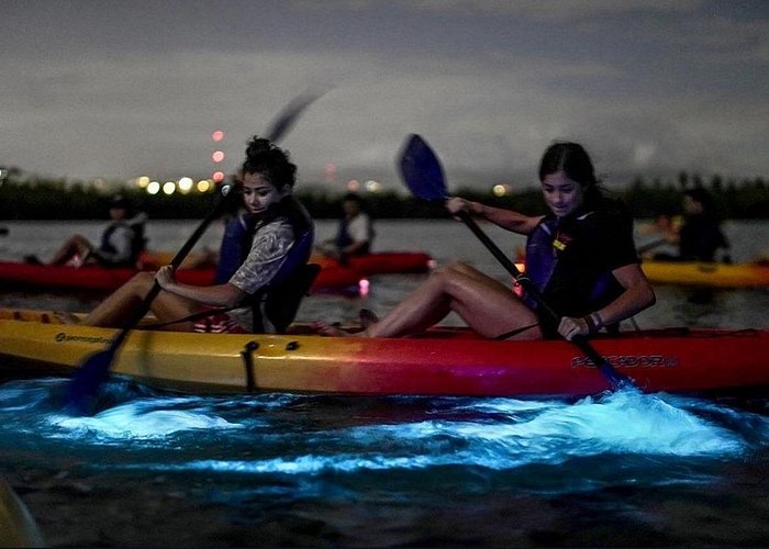 The Ultimate Guide to Fajardo Bioluminescent Bay Kayak Tours