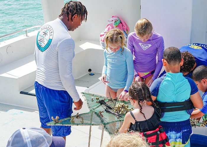 best punta cana snorkeling excursions