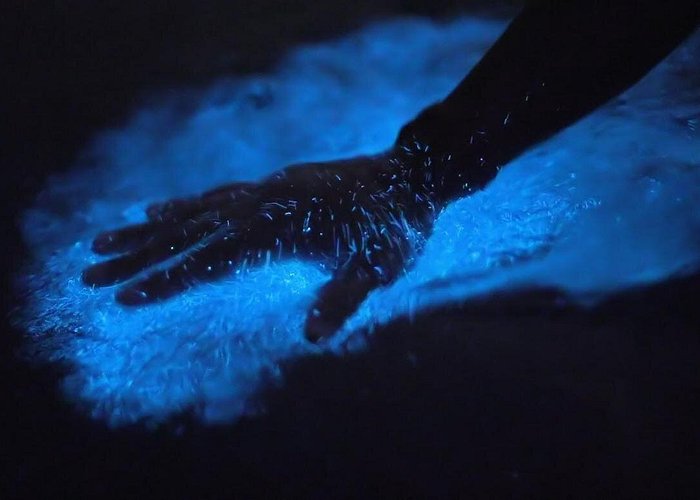 Fajardo bioluminescent bay kayak tour