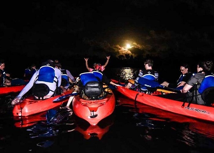 Fajardo bioluminescent bay kayak tour