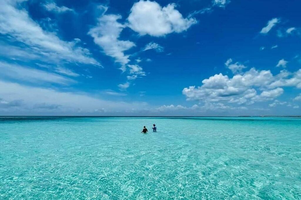 cozumel snorkeling tours