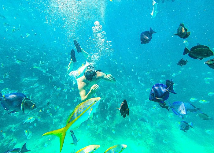 best punta cana snorkeling excursions