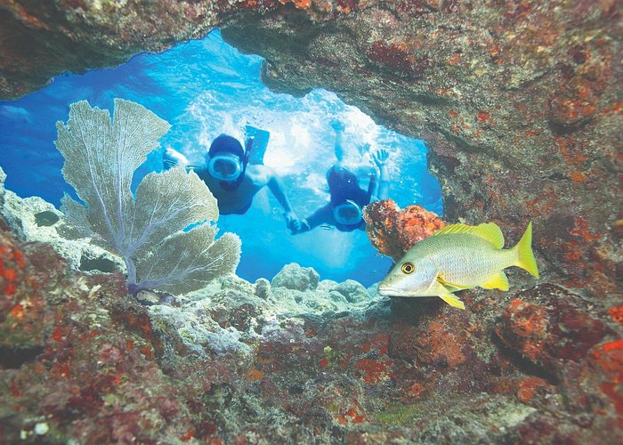 key west snorkeling tours