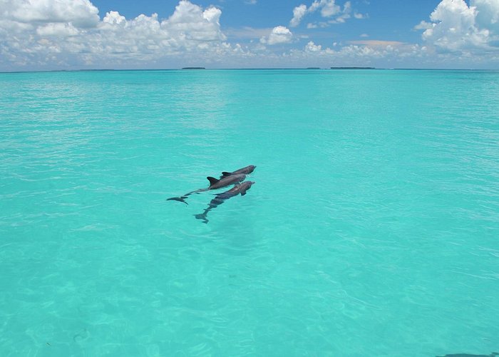 key west snorkeling tours