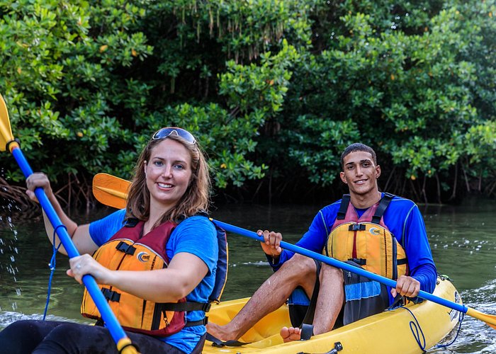 Fajardo bioluminescent bay kayak tours