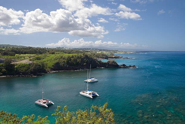 The Ultimate Guide to Maui Snorkeling Tours