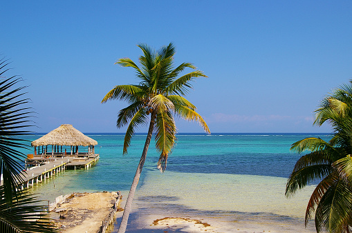 Snorkeling in Belize: What Most Travelers Get Wrong