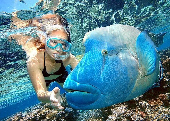 best punta cana snorkeling excursions