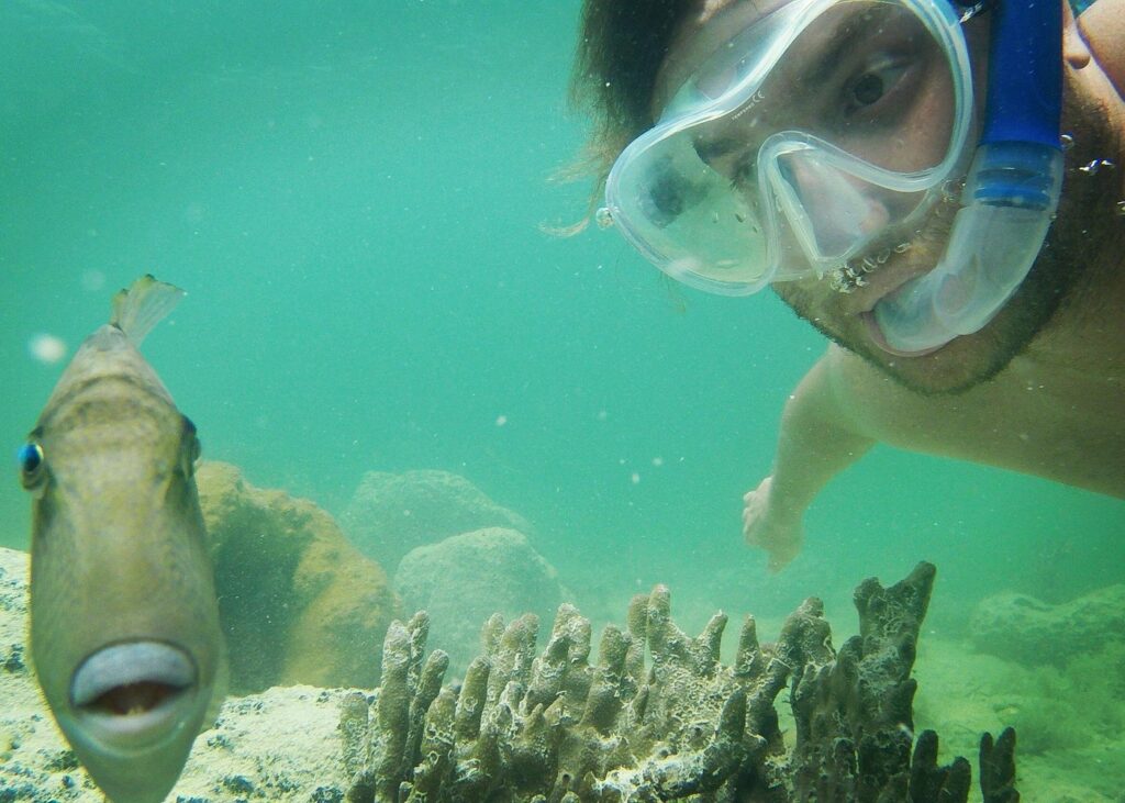 key west snorkeling tours