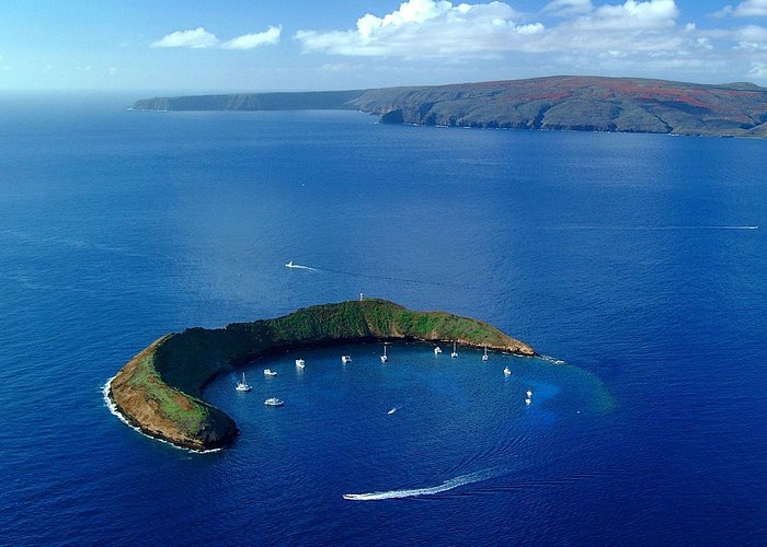Maui snorkeling tours