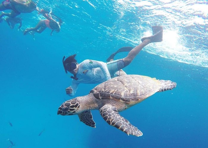 cozumel snorkeling tours