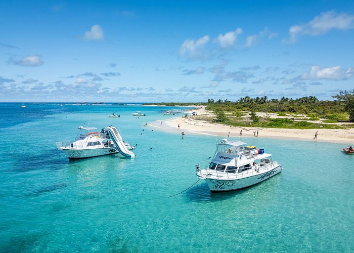 21 Best Puerto Rico Snorkeling Tours in 2026 (Expert Guide)