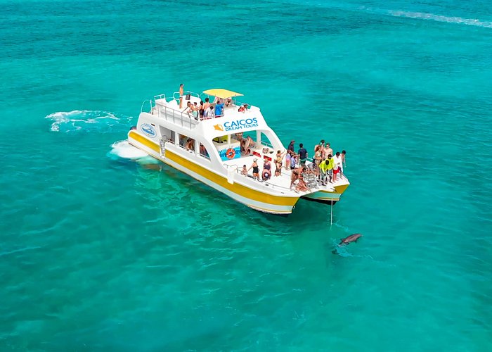 snorkeling tours turks and caicos