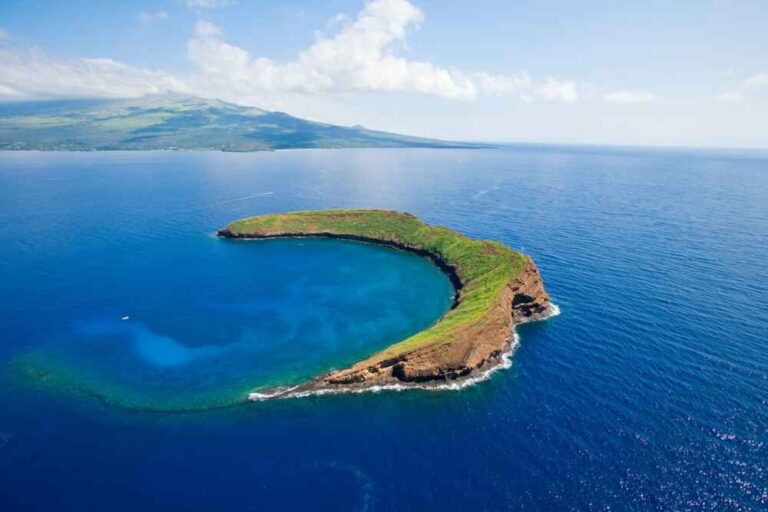The Ultimate Guide to Molokini Snorkel Tours