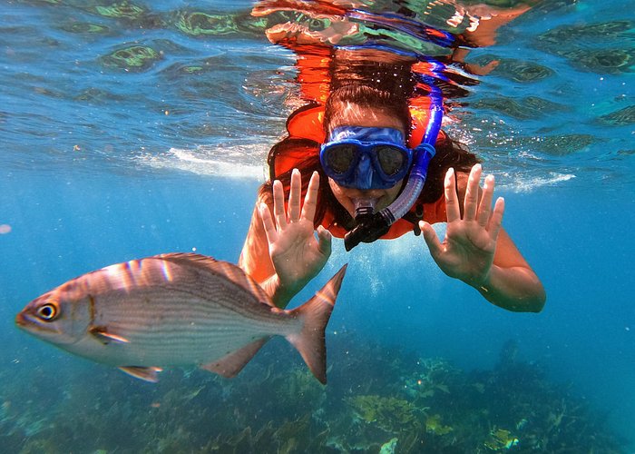 key largo snorkeling tours